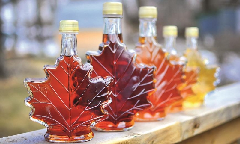 10 причин посетить Пензу: кленовый сироп, Лермонтов и музей одной картины