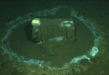 25 тысяч бочек с химическими отходами обнаружили на дне океана возле Лос-Анджелеса