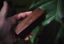 Древесину для мебели будут выращивать всего из нескольких клеток растения