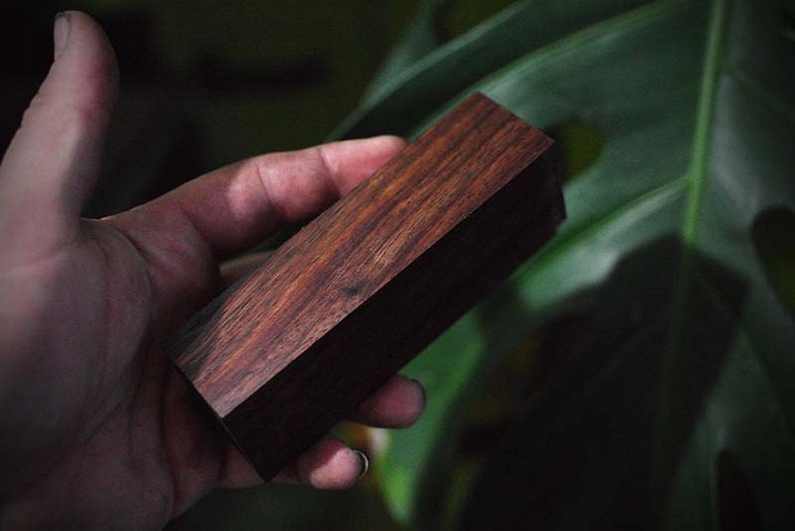 Древесину для мебели будут выращивать всего из нескольких клеток растения