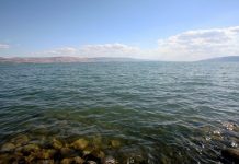 Идеально круглый древний артефакт обнаружили на дне Галилейского моря