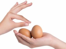 Как правильно обращаться с яйцами