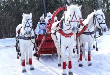 Начались съемки новогоднего музыкального фильма «Хроники Деда Мороза. Тайна подарков»