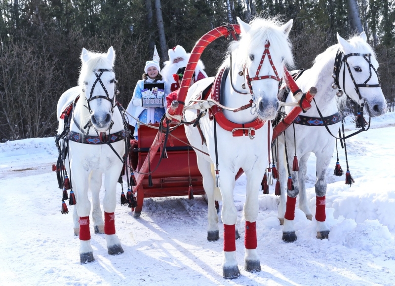Начались съемки новогоднего музыкального фильма &laquo;Хроники Деда Мороза. Тайна подарков&raquo;