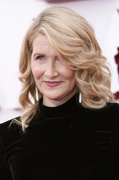 "Оскар-2021": Лора Дерн на красной дорожке