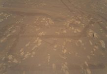 Первые цветные фото Марса сделал вертолет Ingenuity