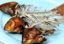 Ученые создали технологию превращения объедков в свежие продукты