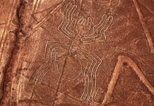 Ученые заявили о разгадке тайны геоглифов Наска в Перу