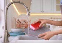 Биотехнолог Золотарева не стала скрывать, какие бактерии живут в кухонных губках — читать на Gastronom.ru