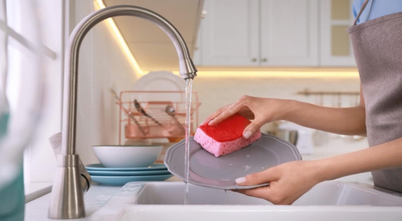 Биотехнолог Золотарева не стала скрывать, какие бактерии живут в кухонных губках — читать на Gastronom.ru