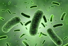 Использование антибиотиков — не единственная причина появления супербактерий