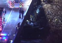 Мужчина 6 дней выживал в разбившемся автомобиле, питаясь дождевой водой