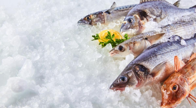 Шеф-повар раскрыл свои секреты, как выбрать качественную рыбу — читать на Gastronom.ru