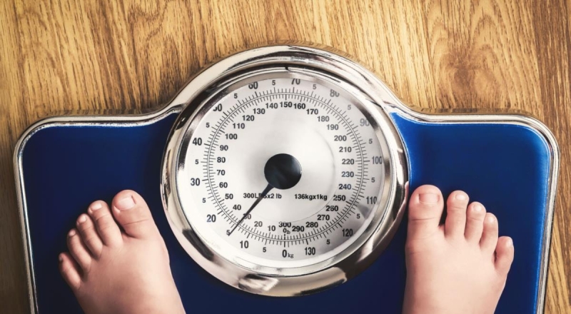 Ученые из Саратова открыли новый способ победить ожирение — читать на Gastronom.ru