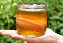 Чайный гриб: секретный эликсир для сжигания жира?