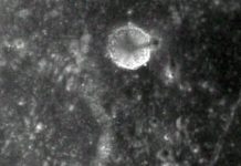 Эксперты НАСА объяснили происхождение загадочного «шпиля» на фотографиях Луны