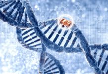 Каждое новое воспоминание, которое мы создаем, повреждает ДНК