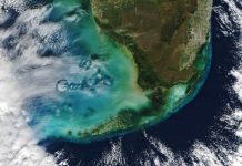 Небесные дыры: спутник запечатлел причудливые облака над Мексиканским заливом