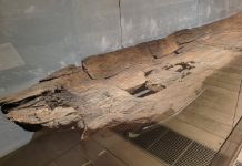 7000-летние каноэ, найденные в Италии, демонстрируют удивительные технологии древних моряков