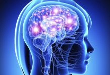 Человеческий мозг растет из поколения в поколение: что это значит?