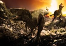 Как погибла жизнь на Земле 65 миллионов лет назад — выяснили ученые