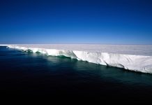 Крупнейший шельфовый ледник Антарктики внезапно увеличивается несколько раз в день