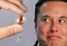 Neuralink сообщила о вышедшем из строя мозговом имплантате