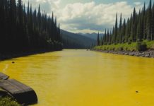 Оранжевые реки Аляски: таяние вечной мерзлоты превращает воду в токсичный раствор