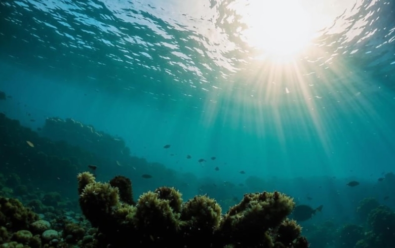 Солнечная буря в мае была настолько сильной, что достигла дна океана