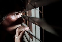 Ученые обнаружили «переключатель страха» в мозге