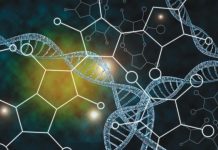 Ученые зафиксировали эволюционное событие, происходящее раз в миллиард лет