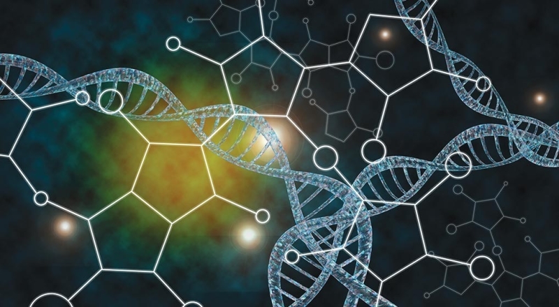 Ученые зафиксировали эволюционное событие, происходящее раз в миллиард лет