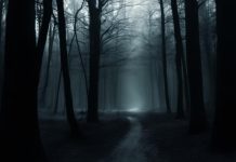 Управление по борьбе с НЛО США расследовало паранормальную активность в Юте