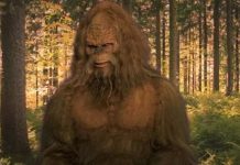 Ветеран ВВС рассказал о встрече с загадочным волосатым гоминидом