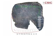 Археологи обнаружили древний алфавит исчезнувшей цивилизации