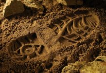 Какие следы оставит наша цивилизация, рассказали ученые