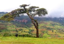 Новое исследование переписывает историю побережья Суахили