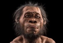 Предки современного человека размышляли о загробной жизни, выяснили антропологи