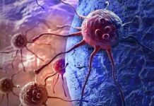 Российские ученые на пороге создания универсальной вакцины от всех видов рака