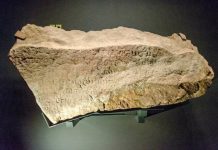 Тайна Сингапурского камня: на грани расшифровки