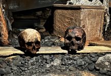 Тайна «вечных» мумий Дублина: как они пережили века и что их ждет дальше