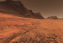 Ученые могли обнаружить жизнь на Марсе и случайно ее уничтожили, считает планетолог