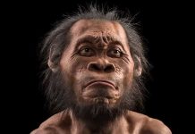 Учёные обнаружили древнейшее захоронение в мире, созданное далёким предком человека