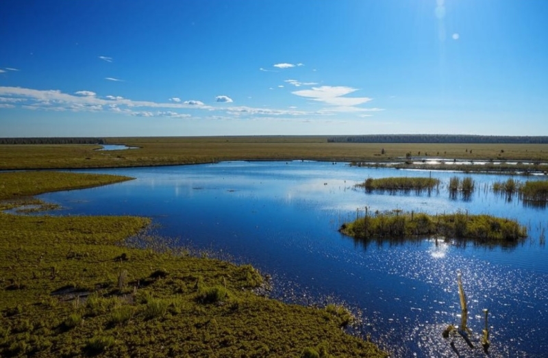 В сибирских болотах ученые обнаружили мощный источник метана