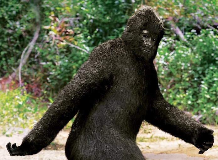 Беспилотник запечатлел &laquo;снежного человека&raquo;, прогуливающегося по лесу