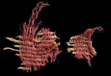 Древний фрагмент ткани из пещеры Черепов содержит редкий вид красителя