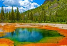 Туристы случайно въехали на автомобиле в гейзер в Йеллоустоне