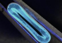 Ученые научились печатать кровеносные сосуды