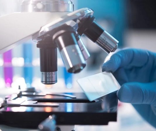 Ученые неожиданно обнаружили средство от облысения