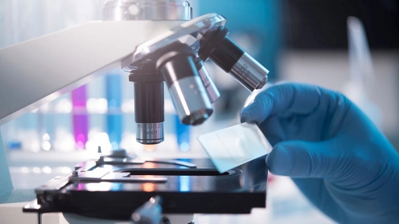 Ученые неожиданно обнаружили средство от облысения